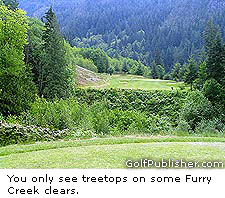Furry Creek Treetops