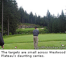 Westwood Plateau